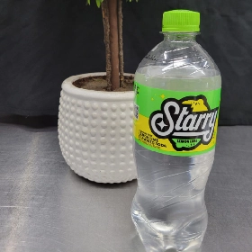 Starry 20 oz Bottle