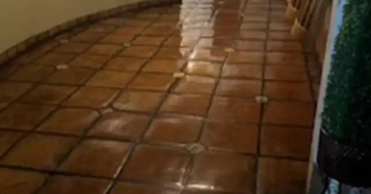 Carpet Cleaning Getsifrago Carpet Clean Modesto