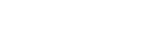 Pioner logo.