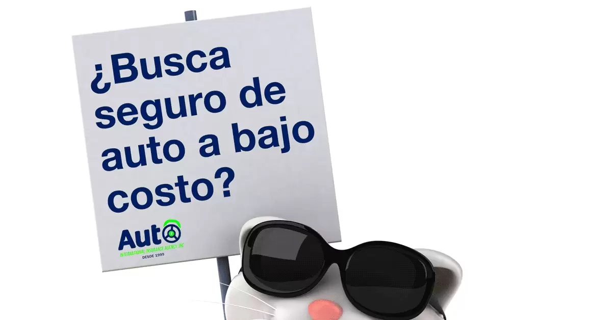 Auto International Insurance