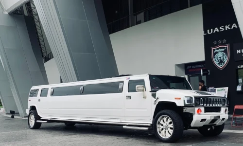 What Type of Limousine Is Best for My Quinceañera?