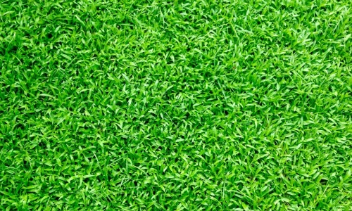 Ventajas del zacate artificial