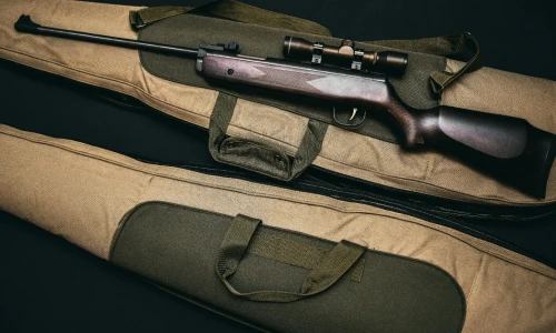 Cómo mudarse con armas de fuego legales