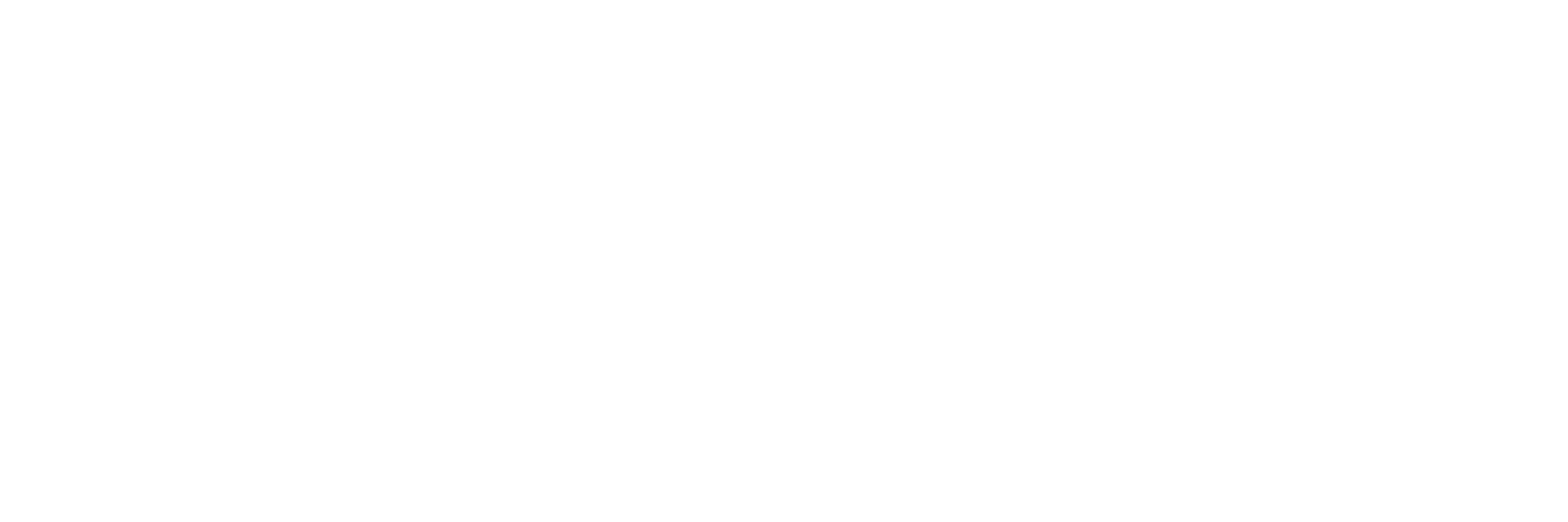 Nuevo Mundo Market logo