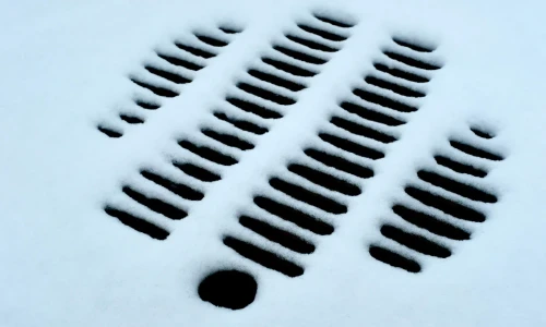 When Do You Need a Professional to Clean Your Drains?