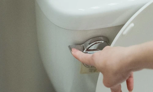 What Not to Throw in the Toilet
