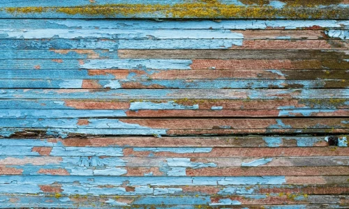 ¿Puedo demandar si la casa que estoy rentando está dañada?