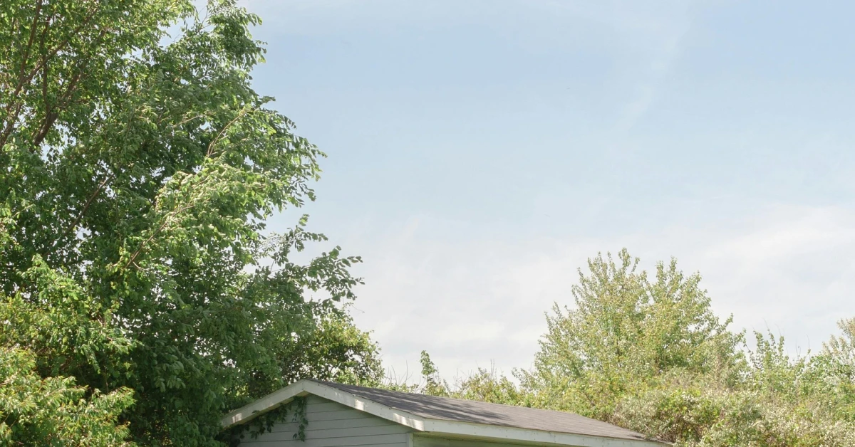 Can I Get a Ticket If I Don’t Cut My Trees?