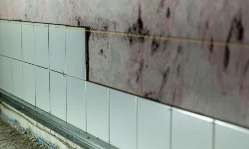 Condiciones insalubres para demandar a un rentero