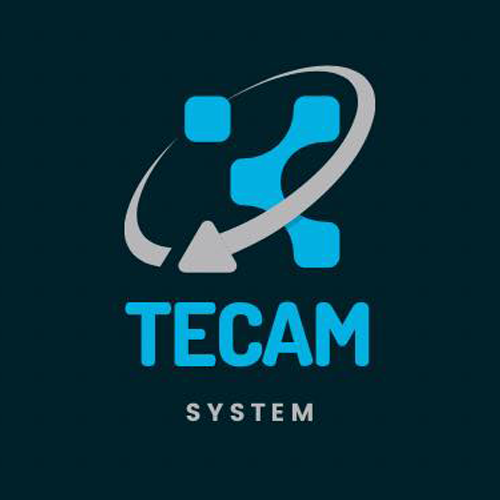 Tecam System logo.
