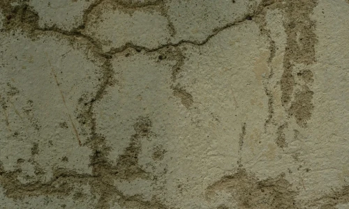 Problemas de moho y humedad en una vivienda