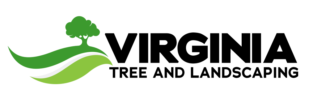 Virginia Tree and Landscaping hero.