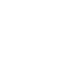 MVM Salon logo.