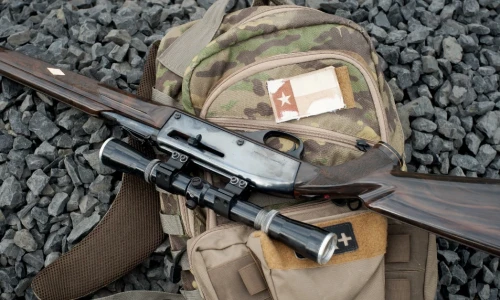 ¿Puedo enviar armas de Estados Unidos a México?