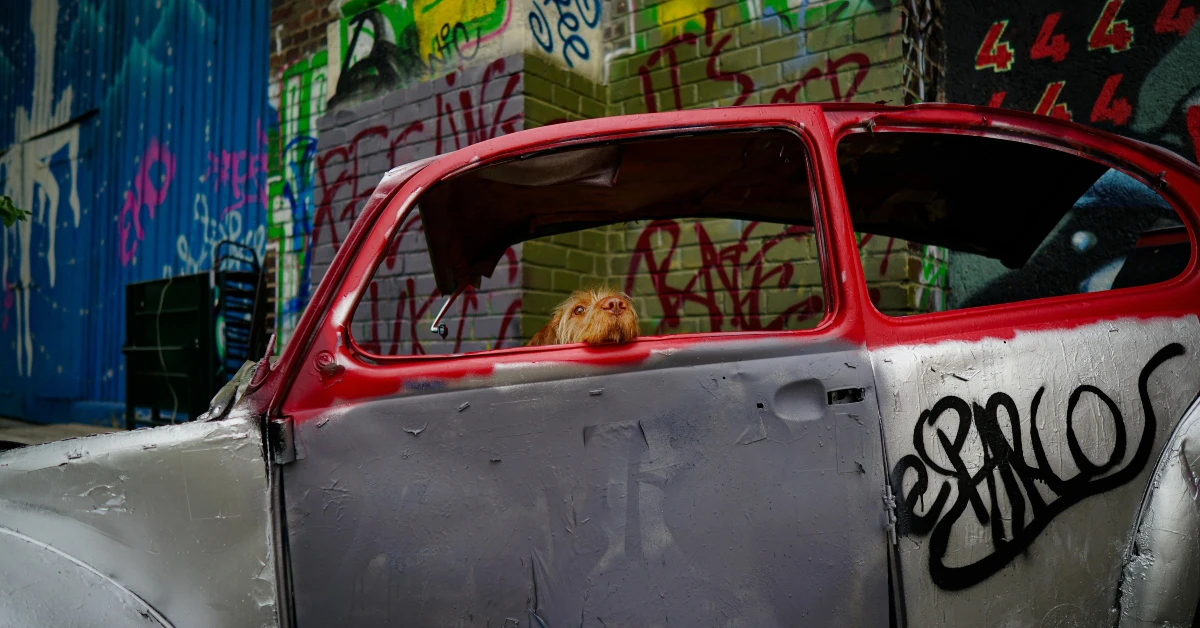 ¿Qué piezas son las más caras de un auto junk?