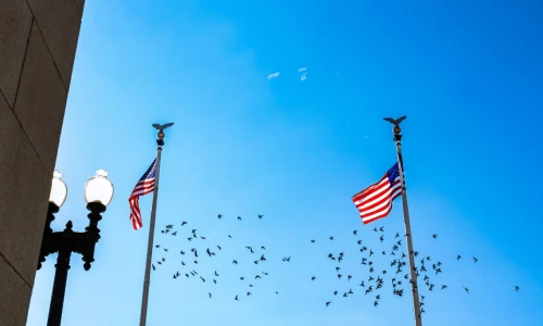 ¿Puedo apelar una deportación en Estados Unidos?