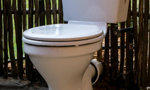 ¿Cuándo necesito cambiar mis inodoros?