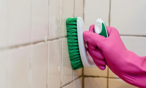 ¿Puedo demandar a mi rentero por moho?