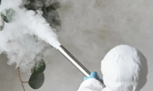 Long-Lasting Structural Protection After Fumigation