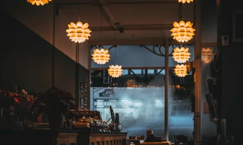 Common Infestations in Restaurants to Watch Out For